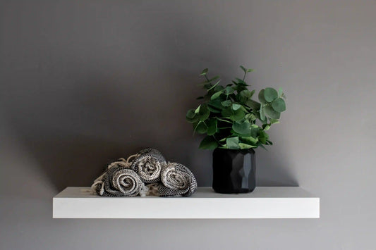 Painted White Floating Shelves with plant